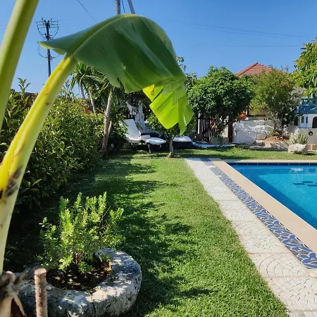 Maria Kefalonia 別荘 Metaxáta